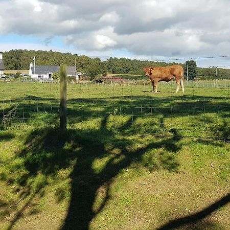 Cosy 2 Bedroom Croft Cottage With Beautiful Views North Kessock Exteriér fotografie