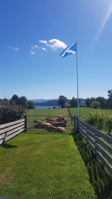 Cosy 2 Bedroom Croft Cottage With Beautiful Views North Kessock Exteriér fotografie