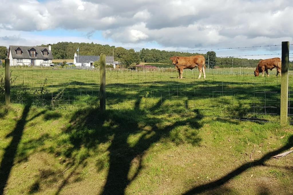 Cosy 2 Bedroom Croft Cottage With Beautiful Views North Kessock Exteriér fotografie
